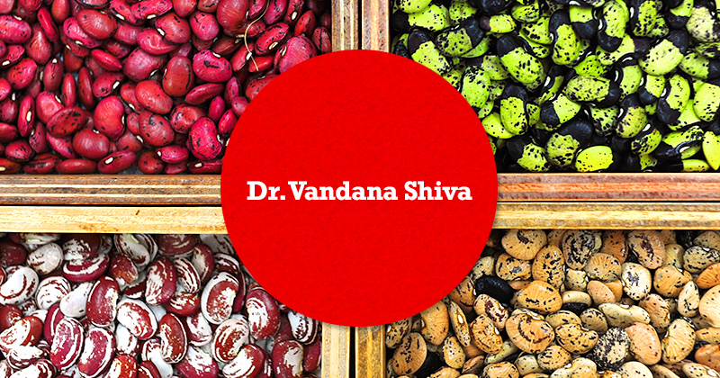 Vandana Shiva scritto su cerchio rosso su sfondo quadripartito di semi colorati